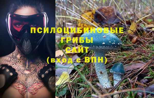 не бодяженный Абаза