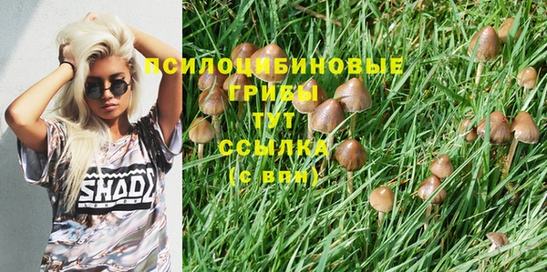 не бодяженный Абаза