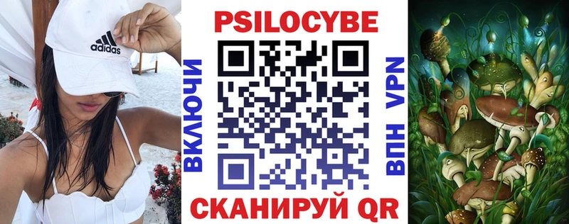 наркошоп  Ярославль  Галлюциногенные грибы Cubensis 