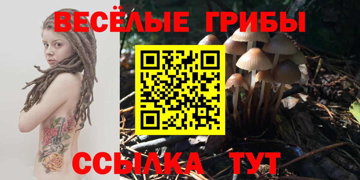 Галлюциногенные грибы мухоморы Ярославль