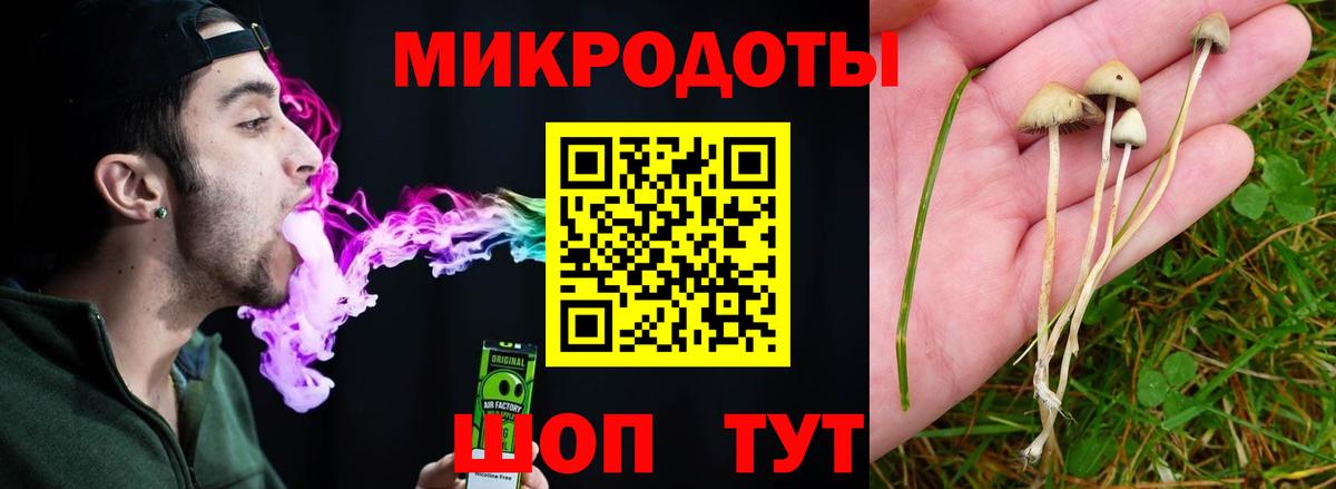 закладки  Вход с VPN  Ярославль  Галлюциногенные грибы ЛСД 